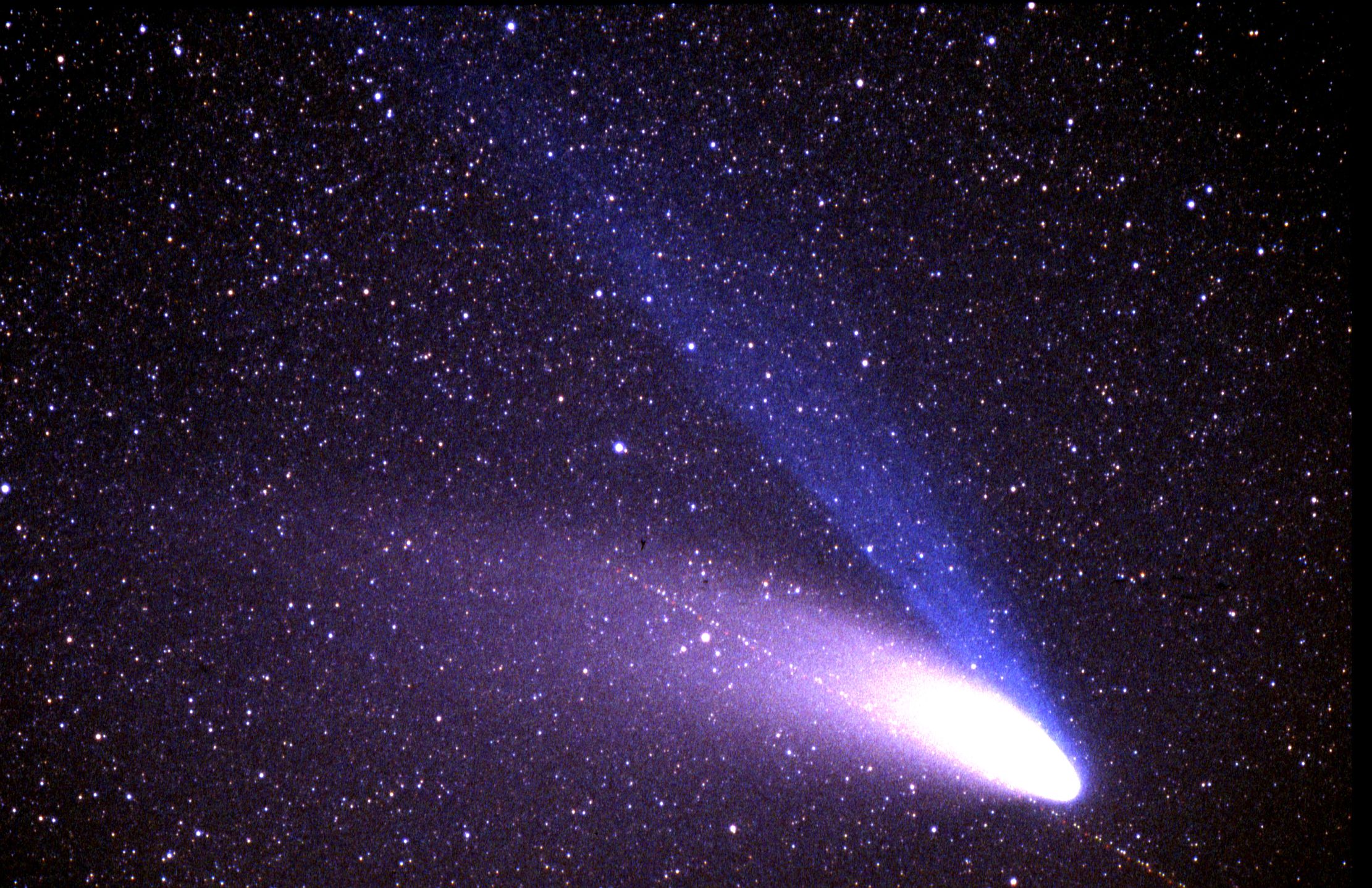 Hale-Bopp,31.03.1997, 2046h MEZ, Obergladbach/Taunus, Nikon 135mm/f3.5, Agfa 1000 RS,5 min Hale-Bopp,31.03.1997, 2046h MEZ, Obergladbach/Taunus, Nikon 135mm/f3.5, Agfa 1000 RS,5 min